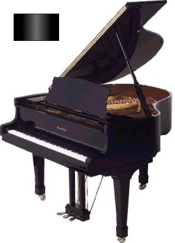 4'8 Petite Grand Piano (Ebony Polish)