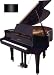 4'8 Petite Grand Piano (Ebony Polish)