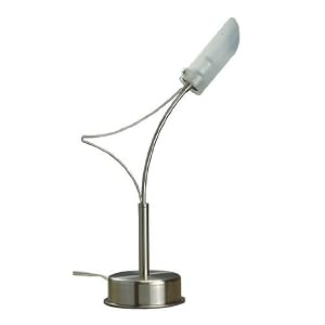 Elegant Frost Glass Shade and Satin Steel Arm Table Lamp by Century