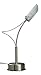 Elegant Frost Glass Shade & Satin Steel Arm Table Lamp