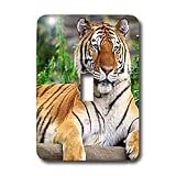 Tigers - Siberian Tiger - Light Switch Covers - single toggle switch