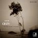 Cesti: Cantate (Cantatas) - Pria ch'adori / Amanti, io vi disfido / Lacrime mie / Mia tiranna / Orontea