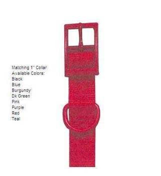 NYL COLLAR 1