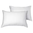 Firm Support Density Pillow - 2-pk. Standard