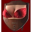Jingle Jugs NEW VERSION - RECORD YOUR OWN MESSAGE Animatronic Singing Dancing Boobs - GAG Gift