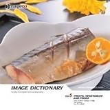 ���᡼�� �ǥ�������ʥ꡼ Vol.5 ��ʪ������