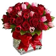 Floral Tulip - Pleasure Trove