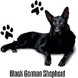 Black German Shepherd Womens Scoop Neck T-Shirt