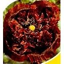 Black Turkish Somniferum Poppy 200 Seeds - Papaver