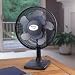 3 each: Holmes 2 Cool Table Fan (HAOF613-U)