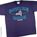 GRATEFUL DEAD T-Shirt - Upstate NY (Blue)