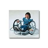 Whirl-A-Wheel