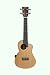 Eleuke Electric Acoustic Cutaway Concert Ukulele Solid Spruce Top, Rosewood Back and Sides with MP3 Feature Eleuke Electric Acoustic Cutaway Concert Ukulele Solid Spruce Top, Rosewood Back and Sides with MP3 Feature