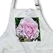 Pink Peony Pink Flower - BLACK Full Length Apron With Pockets 22w X 30l