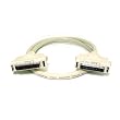 HPDB50 M/M SCSI Cable , 25PR - 6ft