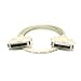 HPDB50 M/M SCSI Cable , 25PR - 6ft