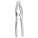 Heavy Duty Nut Cracker 6.25"/16cm (For Crab or Lobster Too) [Kitchen] [Kitchen]