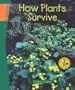 How Plants Survive (Sci Link) (Science Links)