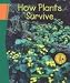 How Plants Survive (Science Links)