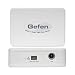 Gefen DVI to Mini DisplayPort Converter - DVI adapter - single link - mini-DisplayPor...
