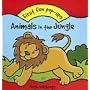 Animals in the Jungle (First Fun Pop-ups)