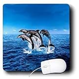 Dolphins - Dolphins - Mouse Pads