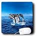 Dolphins - Dolphins - Mouse Pads