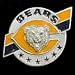 Jewelry : NFL Team Design Pin - Chicago Bears
