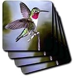 Birds - Hummingbird, Bird - Coasters
