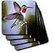 Birds - Hummingbird, Bird - Coasters