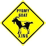 PYGMY GOAT CROSSING sign * street animal pet