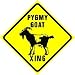 PYGMY GOAT CROSSING sign * street animal pet
