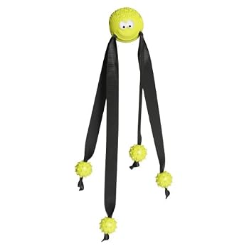 Set A Shopping Price Drop Alert For HuggleHounds Wiley Dog Toy - Middlin