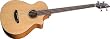 Breedlove Atlas Solo BJ350/CM4 Acoustic Electric Bass
