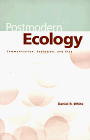 Postmodern Ecology: Communication, Evolution and Play
