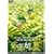 �e���Y�̉� [DVD]