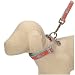 Ribbon Pink / Teal Alligator Dog and Cat Leash - Miami Heat - Limited Edition - 5' x 1/2