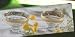 LEGACY GOLD ACCENTED DESSERT BOWLS - LEGACY COLLECTION SET OF TWO 24K GOLD ACCENTED GLASS DESSERT BOWLS