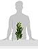 Exo Terra Silk Terrarium Plant, Medium, Ficus