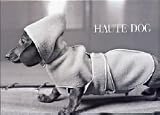 Haute Dog Boxed Notecard Set