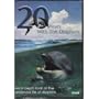 20 Years with the Dolphins