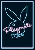 Playboy - Neon Playboy Bunny - 24x36 Poster