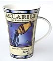 Aquarius Zodiac Horoscope Astrology Bone China Mug
