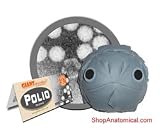 Polio (Poliovirus) GIANTMicrobes Original