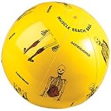 Muscle Beach Ball (EA)
