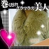 �u���[�t�H�b�N�X1/3�J���[�@51-6020�@�x�[�W��