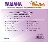 Smart Pianosoft 3.5 Diskette Working Class Dog Rick Springfield