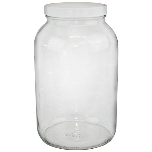 Paksh Novelty Wide Mouth 1 Gallon Clear Glass Jar + Plastic Lid B00Q59FJHO eBay