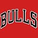 Bulls Revers NBA Replica Jerseys-Youth (EA)