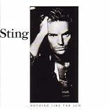 Music : Nothing Like the Sun [CASSETTE]